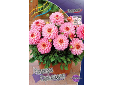 98,6���. �������� ������� ���������(�������� ���� �� 1 ��., ����������� ����� 1��.).jpg