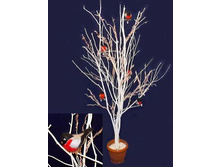 160/��/173 ������ ������