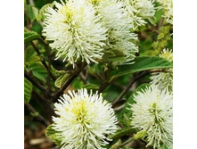 221���. ���������� ������� �������.jpg