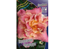 213,2���. �������� �������� ������(�������� ���� �� 1 ��., ����������� ����� 1��.).jpg