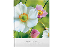 ������-������� �6 80�. ����� �����, ��������� ��������� 47,95.jpg