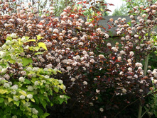 ������������� ��� �����-129.jpg