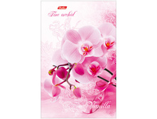 ������-������� �6 120�. ������� �������- ������, ������������ ���� 63,04.jpg