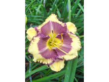 196,6���. �������� �������� ����(�������� ���� �� 1 ��., ����������� ����� 1��.).jpg