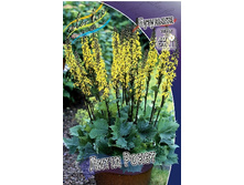 138,6���. ��������� ����� �����(�������� ���� �� 1 ��., ����������� ����� 1��.).jpg