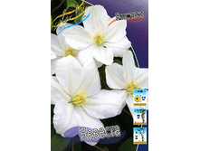 153,35���. �������� �������(�������� ���� �� 2 ��., ����������� ����� 1��.).jpg