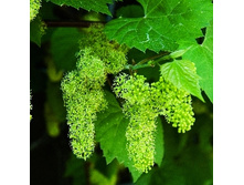 162���. �������� ��������� ����.jpg