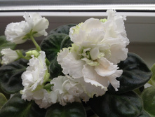 ��-�������