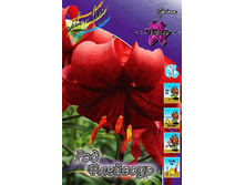 40,86���. ����� ��� ��������(�������� ���� �� 5 ��., ����������� ����� 1��.).jpg