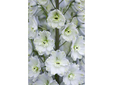 113,7���. ���������� �����(�������� ���� �� 1 ��., ����������� ����� 1��.).jpg