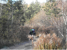 ������ ������