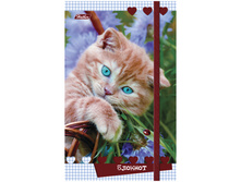 �������� ������ �6 80-50�. �� ������ ����� ������, ������� �������, � ���������, �� ������� 48,84.jpg