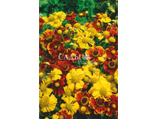 �������� ������� 0,05�� 11.jpg