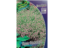 155,1���. ��������� ���� ��������(�������� ���� �� 1 ��., ����������� ����� 1��.).jpg