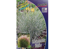 107���. ��������� ������� ����(�������� ���� �� 1 ��., ����������� ����� 1��.).jpg