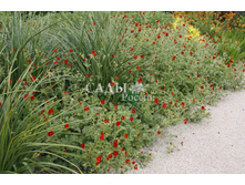 �������� ���� 0,05�� 11.jpg