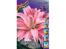 59���. ����� ������ ����(�������� ���� �� 5 ��., ����������� ����� 1��.).jpg