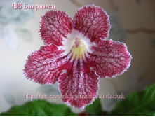 UA ��������