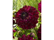 78,3���. �������� ��� ���(�������� ���� �� 1 ��., ����������� ����� 1��.)���15.jpg