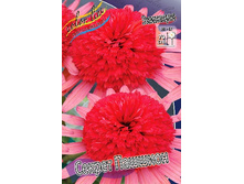 279,5���. �������� ������ �������(�������� ���� �� 1 ��., ����������� ����� 1��.).jpg