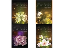 ������� �5 80�. �� ������� �������� ����� 17,04.jpg