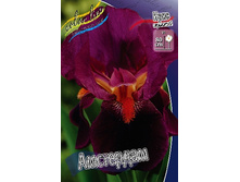 95,3���. ���� ���������� ���������(�������� ���� �� 2 ��., ����������� ����� 1��.).jpg