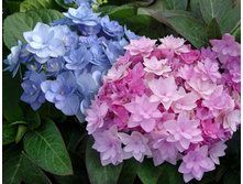 ��������� � ��� �� ������ 263�.jpg