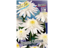 56,85���. ������� ������ ������(�������� ���� �� 2 ��., ����������� ����� 1��.).jpg