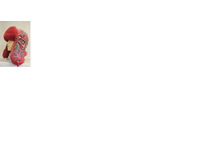 ����������1.png