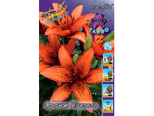 28,76���. ����� ����� �������(�������� ���� �� 5 ��., ����������� ����� 1��.).jpg