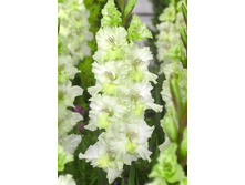 9,83���. ��������� �����(���������� ������ ������ ���������� �� 8 ��.)���15.jpg