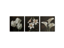 822ef0bc-d67a-11e3-87d4-50e549c407cc ed78b056-2433-11e4-95c5-50e549c407cc.jpeg