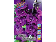 8,91���. ��������� ���� �������(���������� ������ ������ ���������� �� 8 ��.).jpg