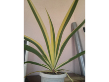 20151005 113916 HDR.jpg