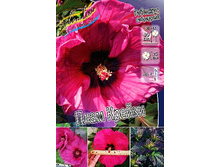 229,8���. �������� ��������� ���� ������(�������� ���� �� 1 ��., ����������� ����� 1��.).jpg