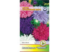 ����� ���������� ���� �����	0,3	8,00 ���.