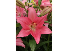 23,63���. ����� ������(�������� ���� �� 7 ��., ����������� ����� 1��.)���16.jpg