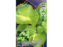 263���. ����� ����� �����(�������� ���� �� 1 ��., ����������� ����� 1��.).jpg