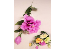 401/0935� �������