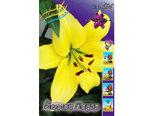 27,02���. ����� ������ �����(�������� ���� �� 5 ��., ����������� ����� 1��.).jpg