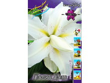 59���. ����� ����� ���(�������� ���� �� 5 ��., ����������� ����� 1��.).jpg