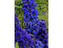 163,4���. ���������� ������ ������(�������� ���� �� 1 ��., ����������� ����� 1��.).jpg