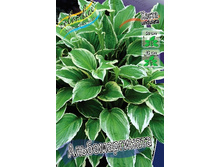 48,9���. ����� ��������������(�������� ���� �� 2 ��., ����������� ����� 1��.).jpg