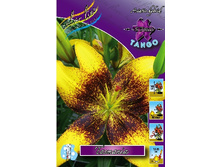 32,2���. ����� ��������(�������� ���� �� 5 ��., ����������� ����� 1��.).jpg