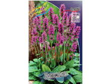 118,6���. ������ �������(�������� ���� �� 1 ��., ����������� ����� 1��.).jpg