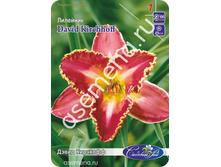 ����� ��������.jpg