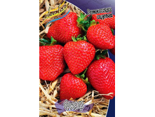 30,7���. ��������� ������� ����(���������� ������ ������ ���������� �� 5 ��.).jpg