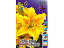 24,44���. ����� ������� ����(�������� ���� �� 5 ��., ����������� ����� 1��.).jpg