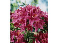 301���. ����������� ������� ���� �����.jpg