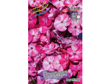 98,3���. ����� �������(�������� ���� �� 2 ��., ����������� ����� 1��.).jpg